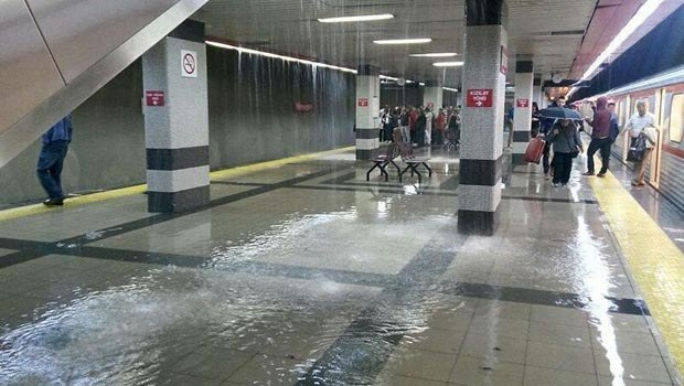 24678102.jpg