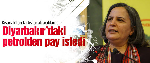 gültan kışanak diyarbakır petrollerinden pay istedi.jpg