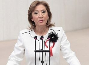 ayşe-gülsün-bilgehan-kimdir-chp-bakanlik-teklifine-ne-dedi.20150826153050.jpg