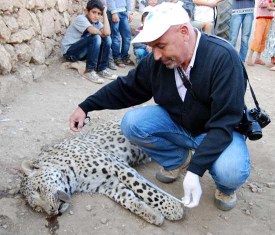 diyarbakir-leopar.jpg