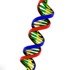 dna.jpg