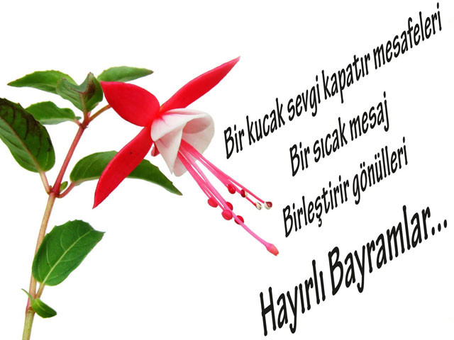 En güzel Bayram mesajları kısa mesaj SMS atabilirsiniz.jpg