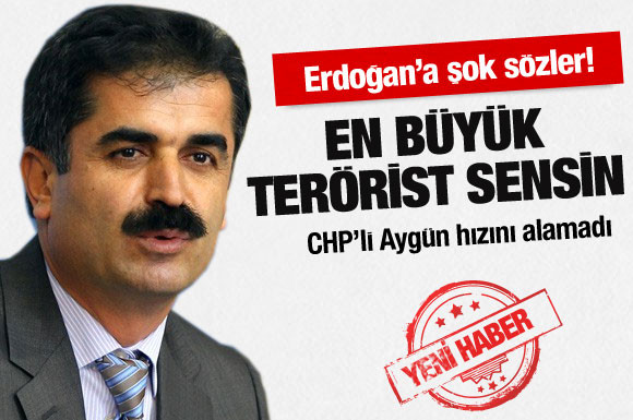 huseyinaygunteröristerdogan.jpg