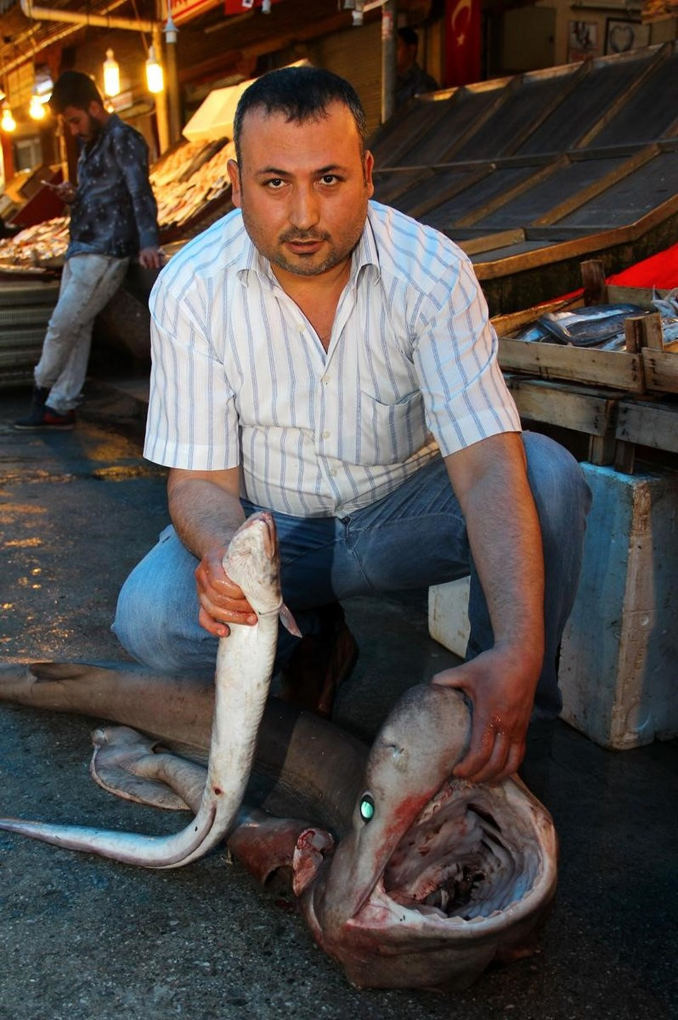 kopek-baligi.jpg