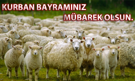 kurban-bayrami-en-guzel-bayram-mesajlari.jpg