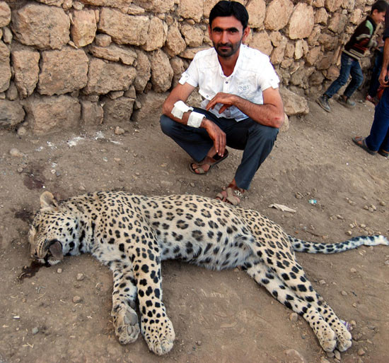leopar-diyarbakir.jpg