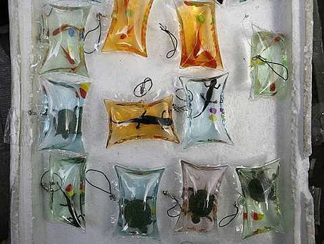 live-animals-keychains.jpg