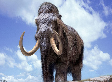 mamut.jpg