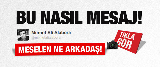 mehmet-ali-alabora-gezi-twiti.jpg