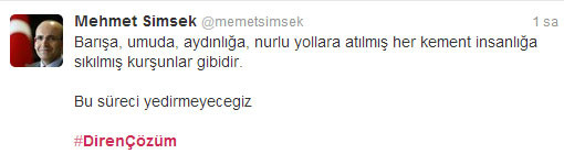 mehmet-simsek-direncozum.jpg