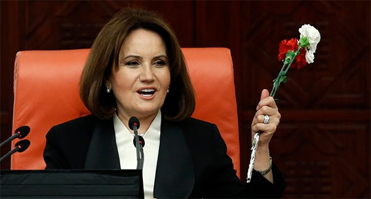 meral-akşener-kimdir-bakanlik-teklifi-mhp-bakanlari.jpeg