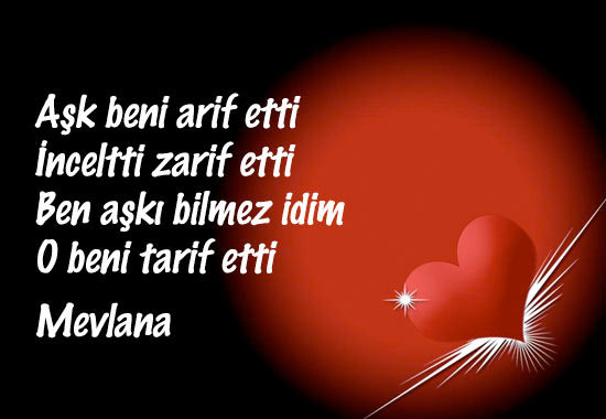 mevlananin-bilinmeyen-güzel-sözleri.20141217132901.jpg