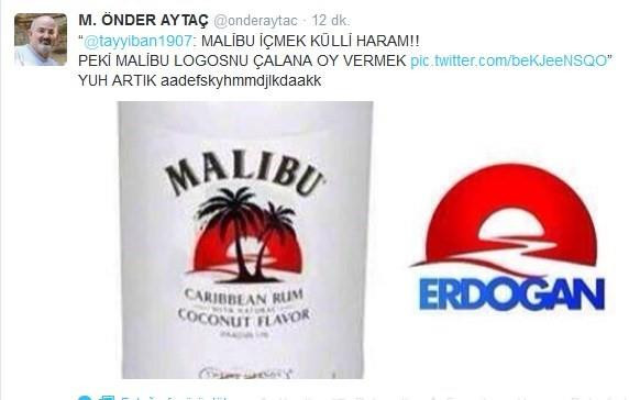 önder-aytaç-erdoğan-logo-malibu.jpg