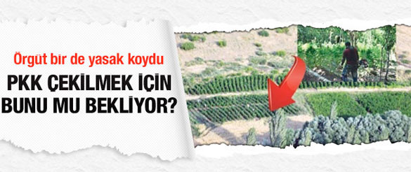 pkk.20130705102224.jpg
