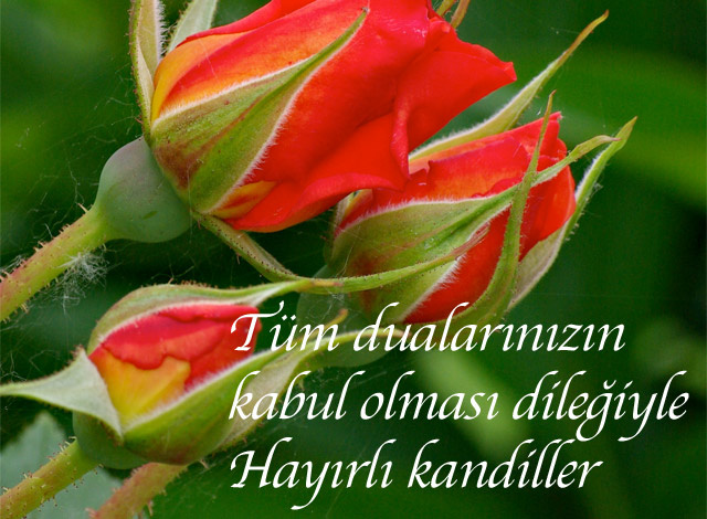 regaip-kandili-mesajlar-1.20150420132418.jpg