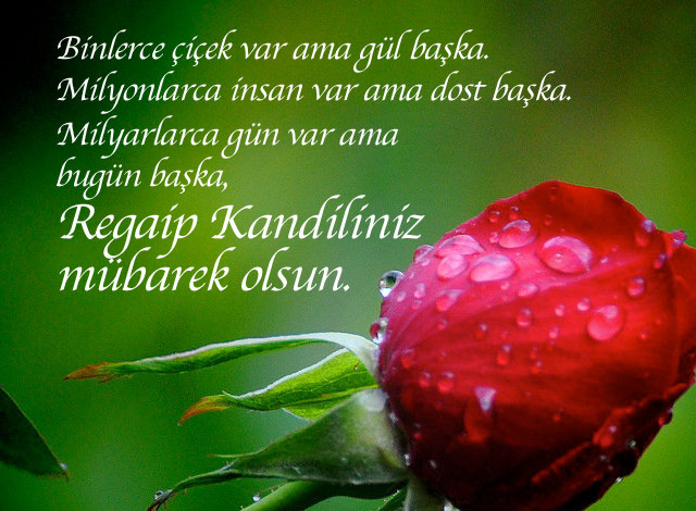 regaip-kandili-mesajlari-5.20150420132540.jpg