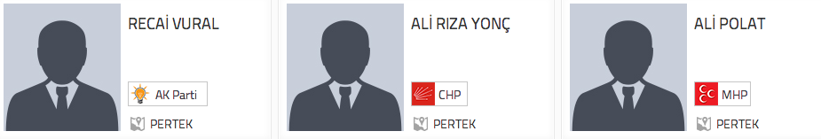 Tunceli Pertek adayları