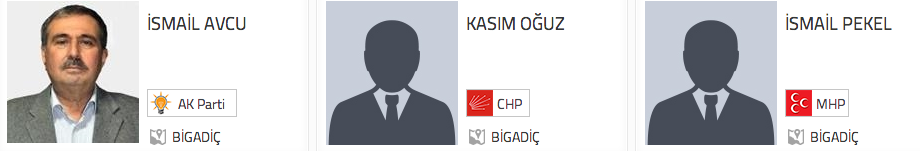 Balıkesir Bigadiç 2014 adayları