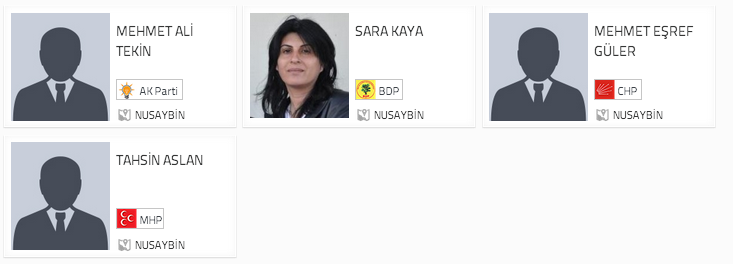 nusaybin seçim sonuçları, mardin nusaybin seçim, seçim sonuçları, seçim sonuçları 2014, 30 mart yerel seçim,