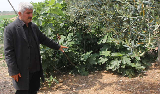 şato gibi evde cinayet.png