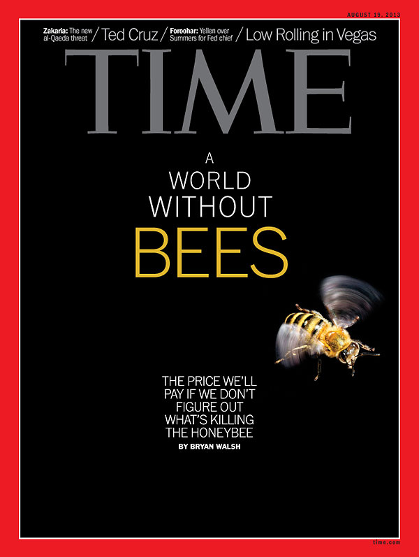timeari.jpg