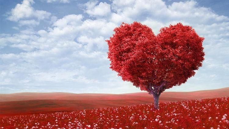 Sevgililer Günü nedir resimli Mevlana sözler ile 2018 mesajları
