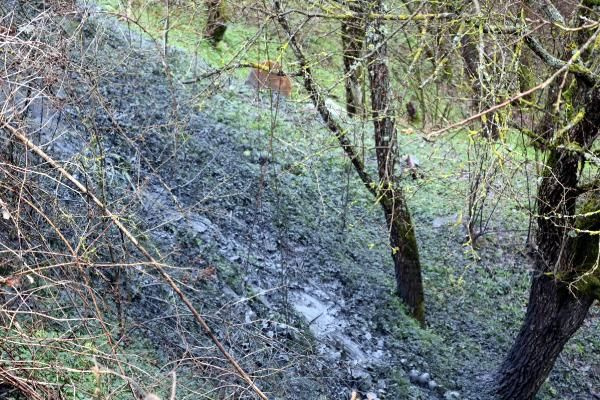 Tekirdağ'da 29 çuval kimyasal atık çevreye atıldı iddiası