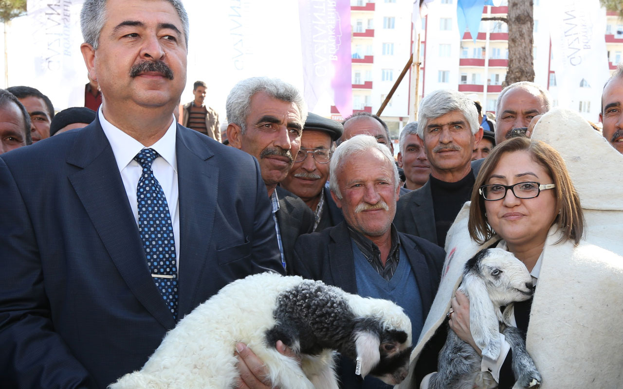 Gaziantep'te 2 milyon TL değerinde koyun süt yemi müjdesi