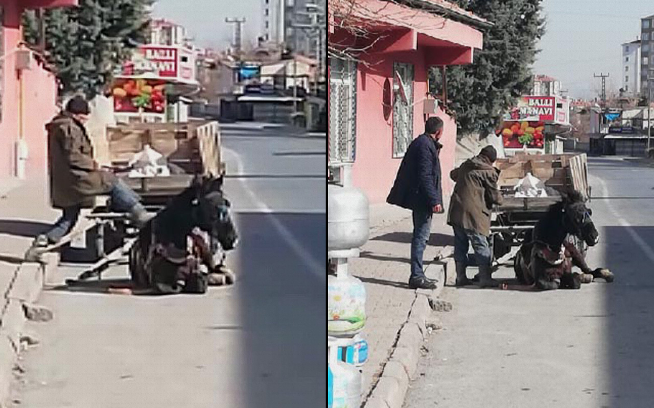 Kayseri'de vicdansızlık: Yorgunluktan yere çöken atını tekmeledi!