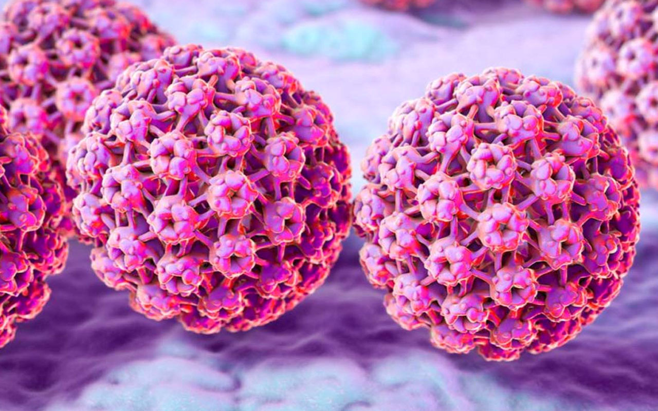 HPV Genotiplendirme raporu nedir?