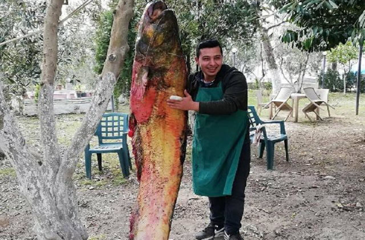 Görenleri şoke etti! Bursa'da yakaladılar! Ağaca asıp...