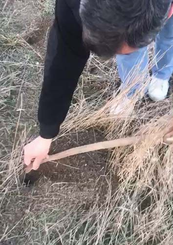 Konya'da kafasından tuttuğu yılanı fare deliğine bırakan adam şaşırttı