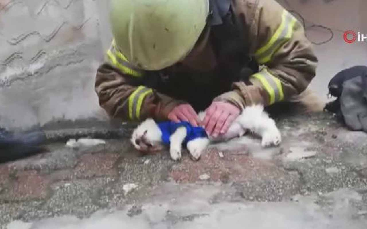 İtfaiyeciden köpeğe kalp masajı ve suni teneffüs