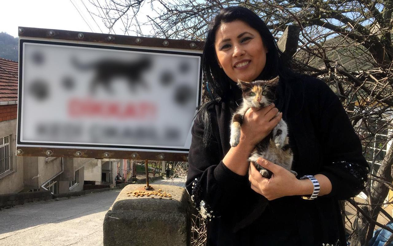 Zonguldak'ta sürücüler için "Dikkat kedi çıkabilir" tabelası astı