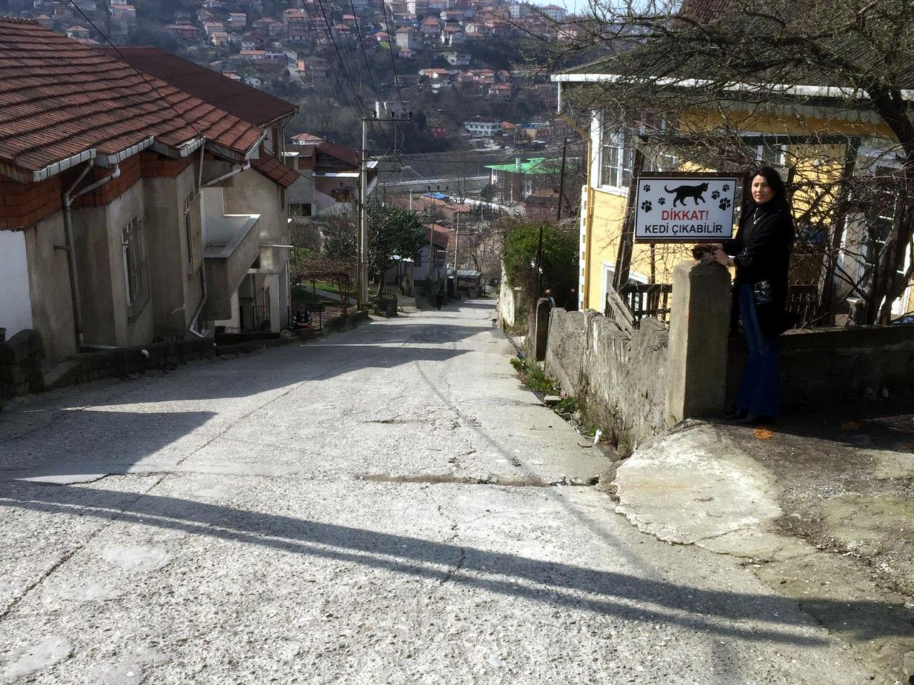 Zonguldak'ta sürücüler için "Dikkat kedi çıkabilir" tabelası astı