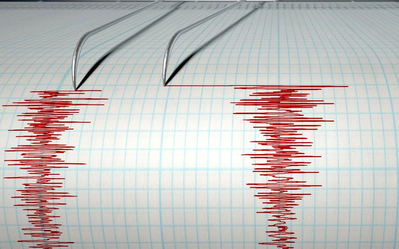 'Denizli ve Malatya depremleri uyarıydı büyük depreme hazırlanın'