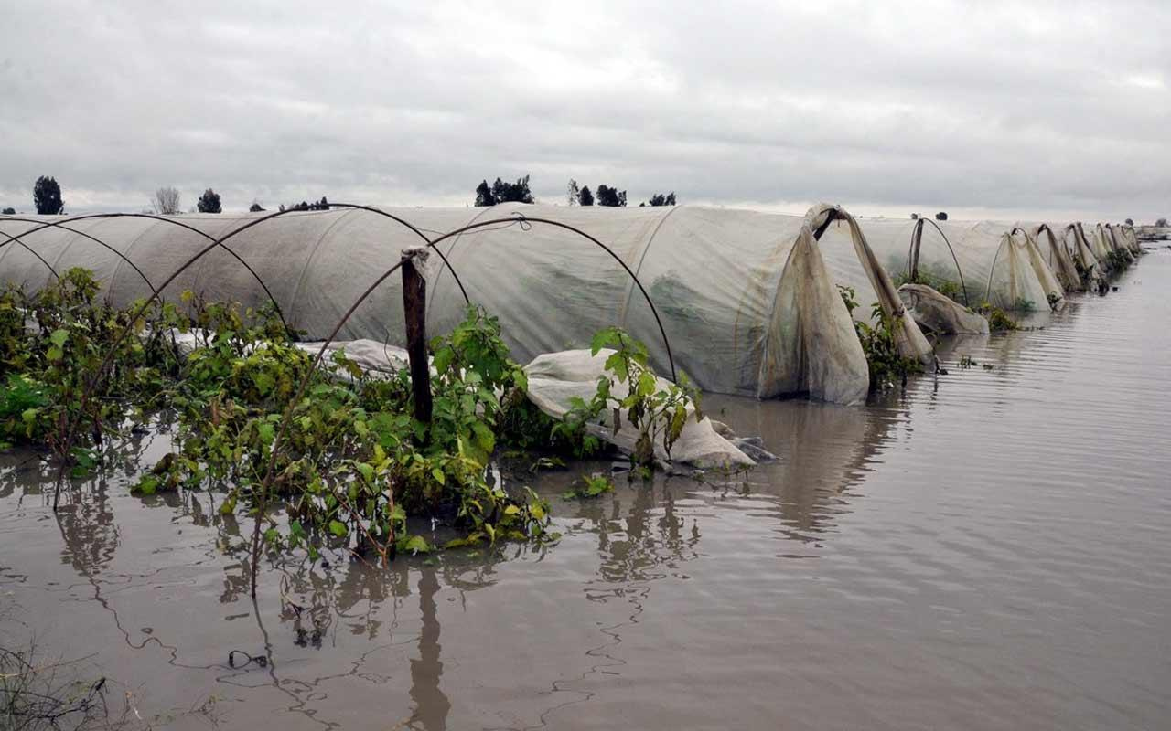 Mersin'de yağışlar seralarda hasara neden oldu