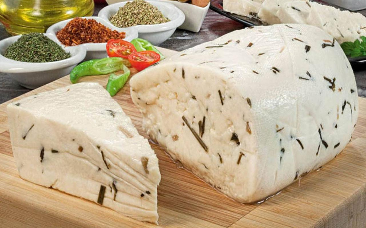 Türk peynirleri Avrupa pazarında öne çıkıyor