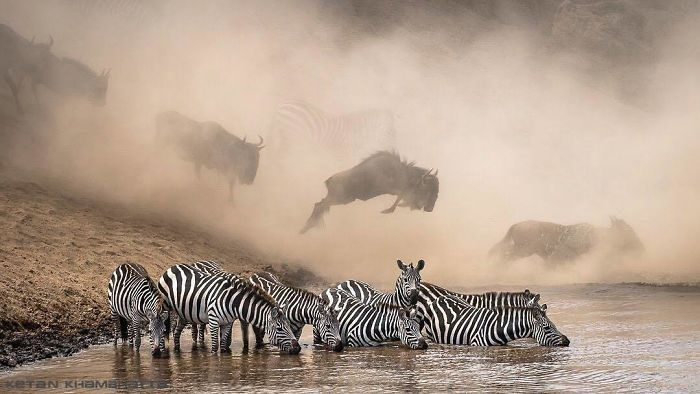 National Geographic seçti işte Instagram fotoğraf yarışmasının kazananları