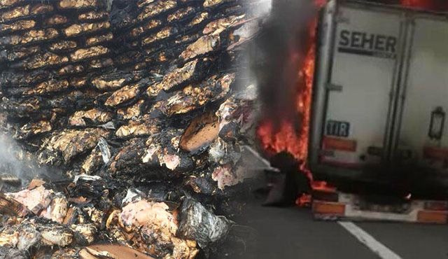 Şanlıurfa'da tavuk eti yüklü TIR'da yangın
