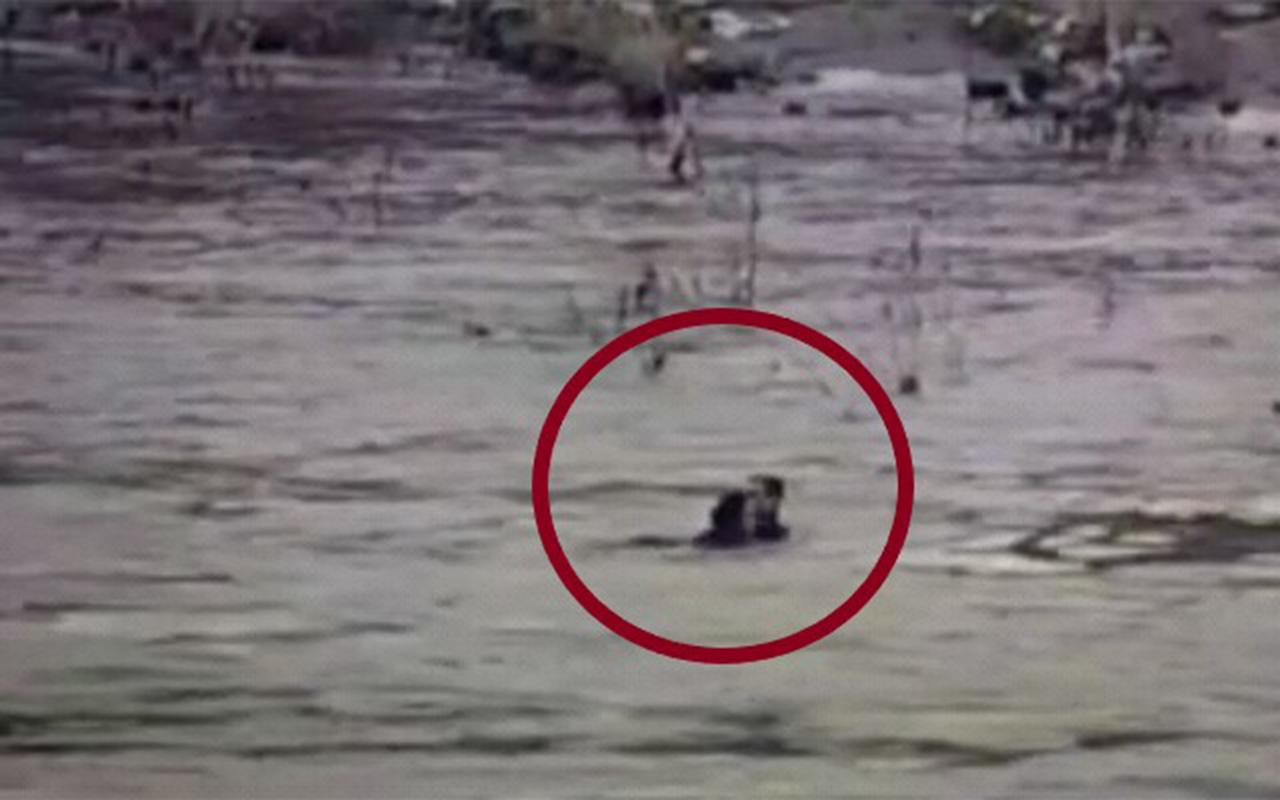 Şırnak'ta polis intihar etmek için nehre atlayan kadını kurtardı