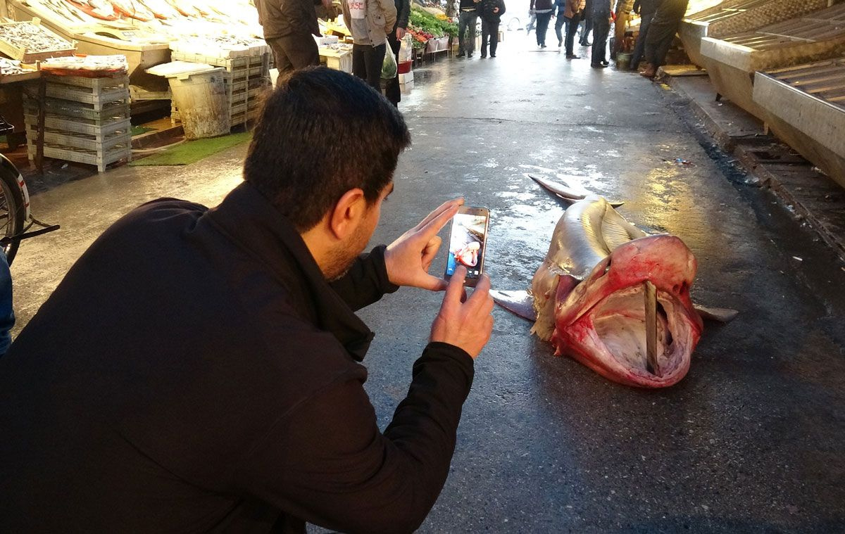 Mersin'de yakalandı görenler telefona sarıldı! Taleplere yetişemiyorlar