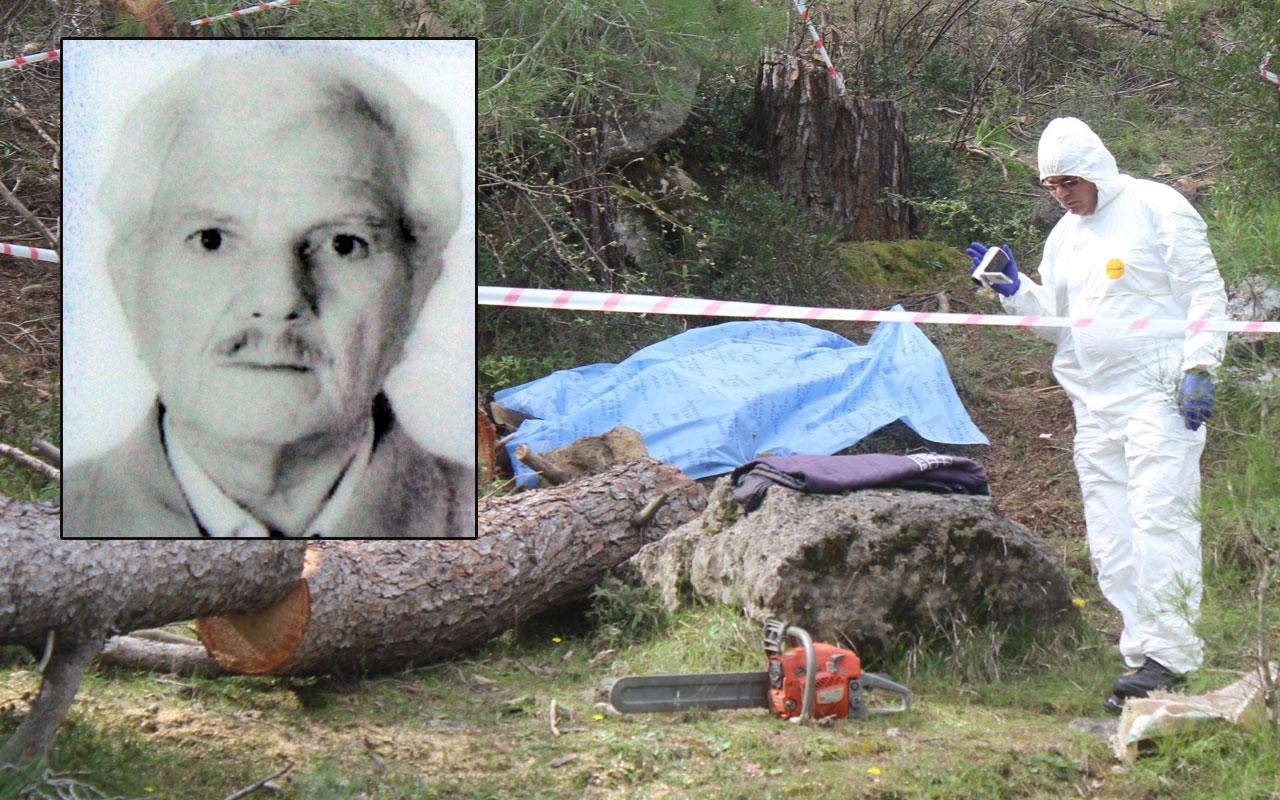 Antalya'da korkunç ölüm! Kestiği ağacın altında can verdi