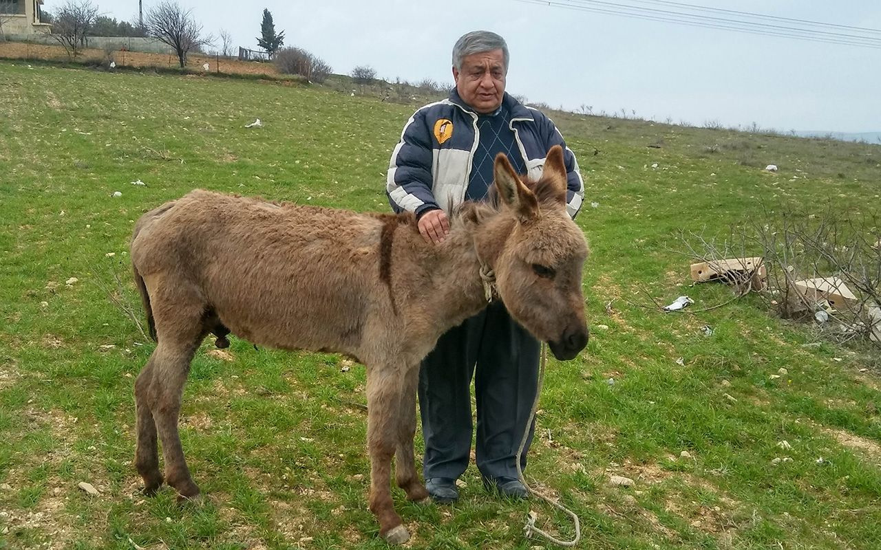 Gaziantep'te sıpaya akılalmaz işkence!