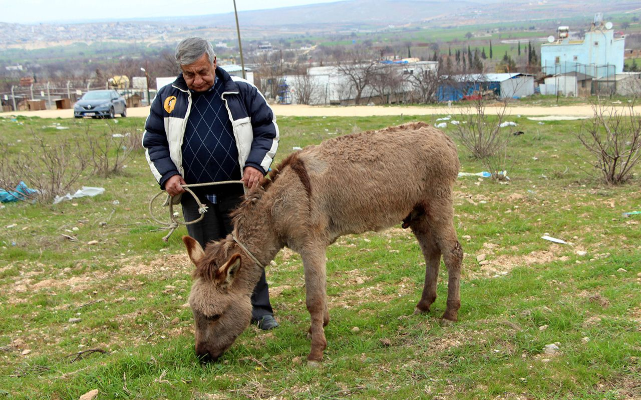 Gaziantep'te sıpaya akılalmaz işkence!