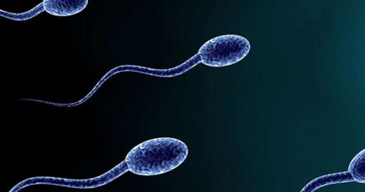 Tıp dünyası şokta! 50 yıl önce spermleri dondurup...