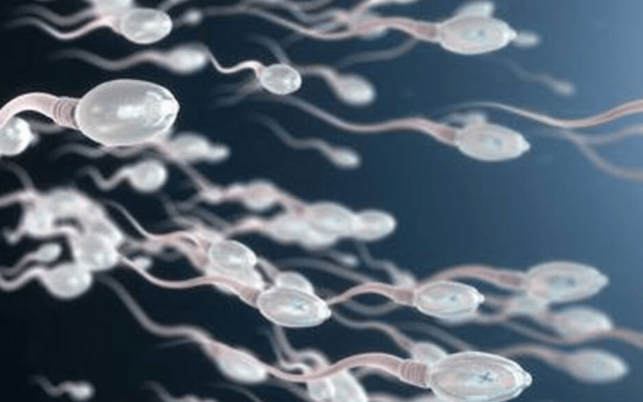 550 çocuğun sperm donörü olan Hollandalı adamın, bağış yapması yasaklandı