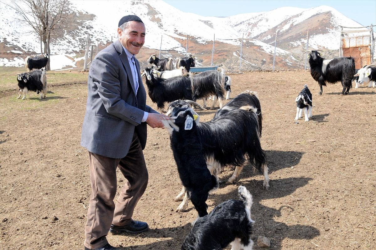 Bingöl'de köydeki çoban 8 yıl sonra başardı köye gelip fotoğraf çektiriyorlar
