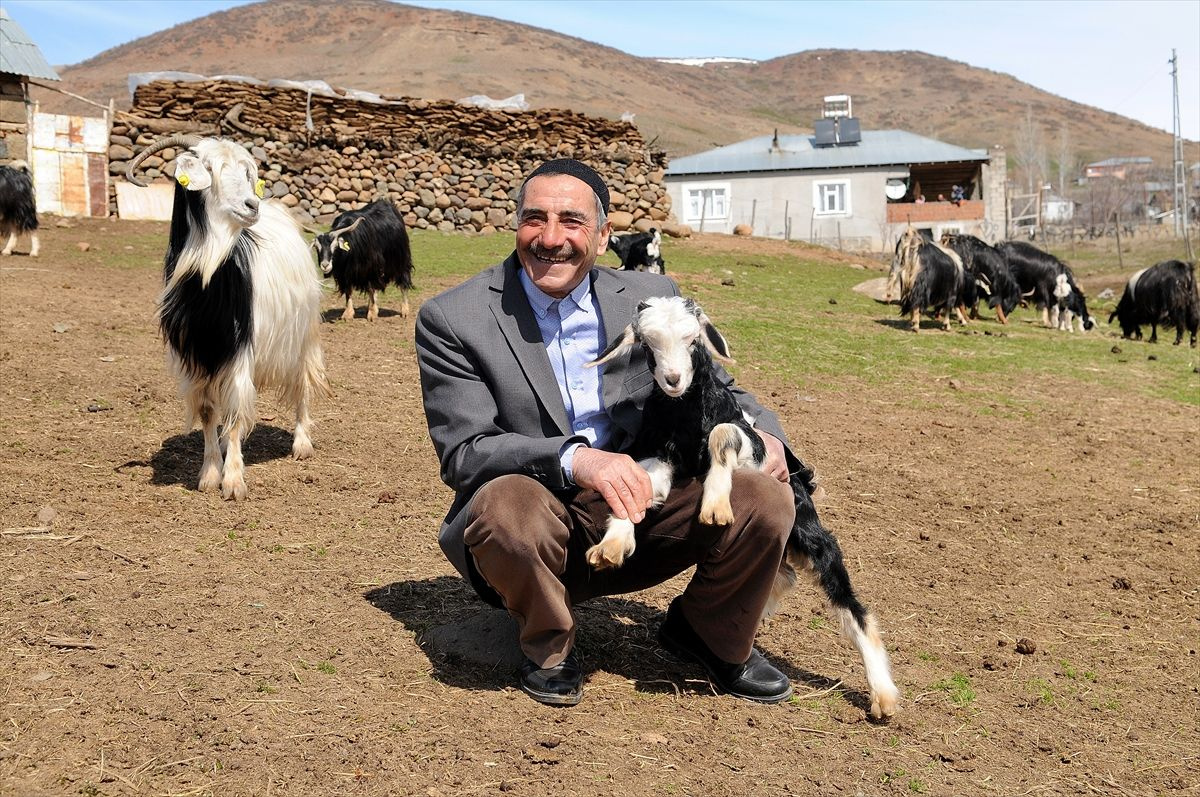 Bingöl'de köydeki çoban 8 yıl sonra başardı köye gelip fotoğraf çektiriyorlar