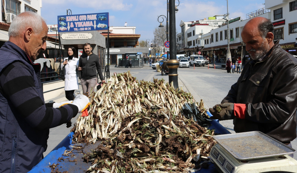 Diyarbakırlıların beklediği bitki pazara girdi günde 250 kilo satılıyor